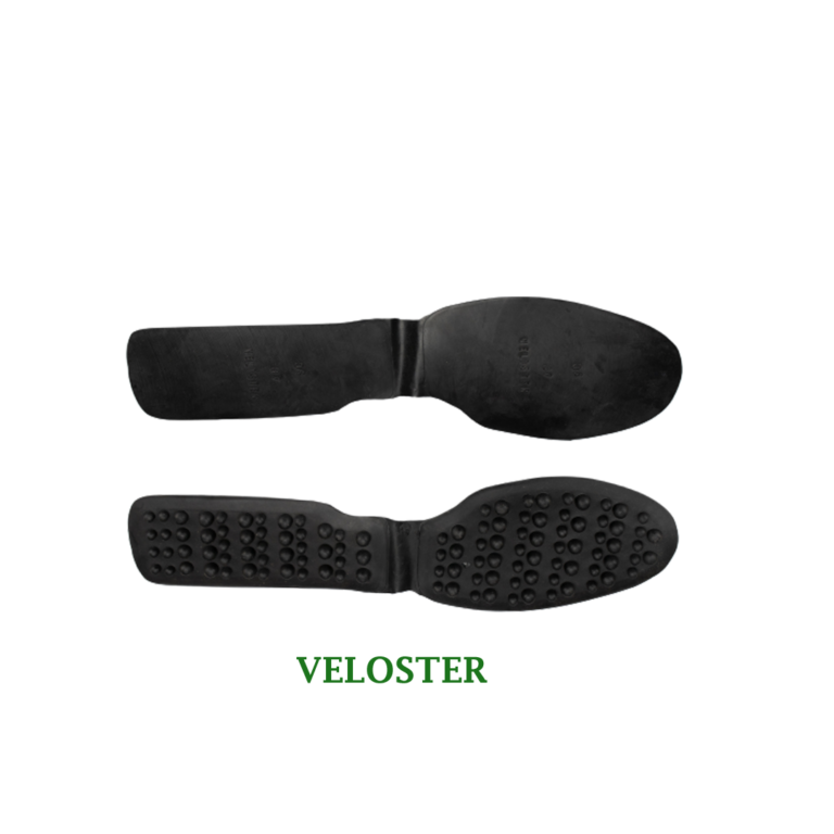 veloster